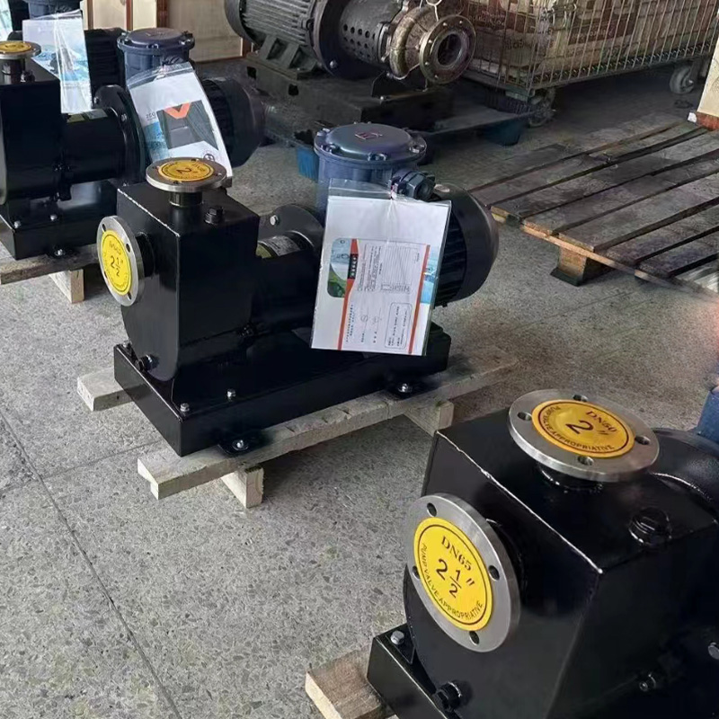 Pompa di auto-primavera magnetica ZCQ
